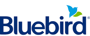 purchase Bluebird Bank-verified account