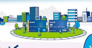 purchase Bluebird Bank-verified accounts